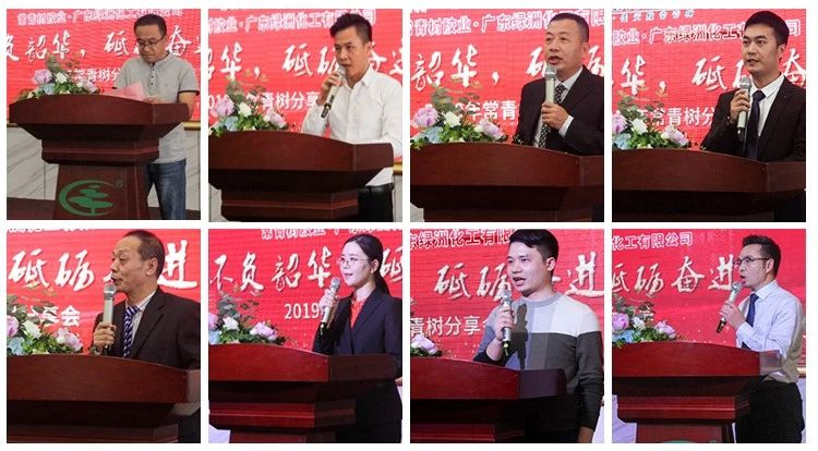 不負韶華，砥礪奮進，共筑青春夢，活力常青樹